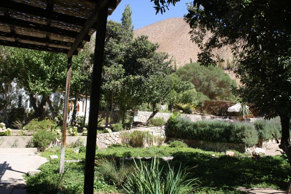 Hotel El Milagro Pisco Elqui Exteriör bild